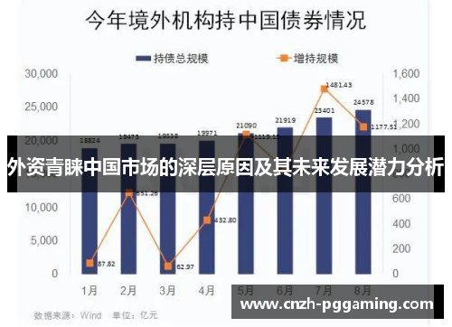 外资青睐中国市场的深层原因及其未来发展潜力分析