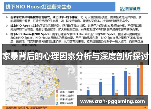 家暴背后的心理因素分析与深度剖析探讨